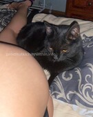 Анкета проститутки Арина - метро Ломоносовский, возраст - 24